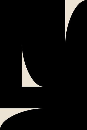 Formes abstraites en noir et blanc V
