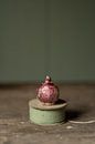 hyacint op klos met lint | fine art stilleven fotografie in kleur | print muur kunst van Nicole Colijn thumbnail