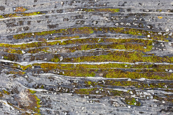 Layered slate: quartz veins and moss