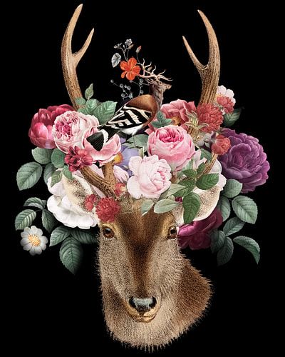 Deer Flowers