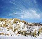 Dunes de neige par Jacky Aperçu