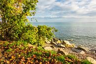 Die Ostseeküste auf der Insel Rügen im Herbst van Rico Ködder thumbnail