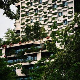 Vertikaler Wald - Wonderwoods Utrecht von Sylvan Muijlwijk
