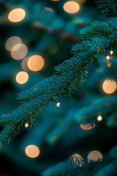 Weihnachtsbaumlichter von Poster Art Shop