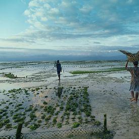 Zeewier boeren sur Niels Boere