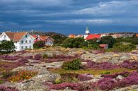 Blick auf die Insel Käringön in Schweden von Rico Ködder Miniaturansicht