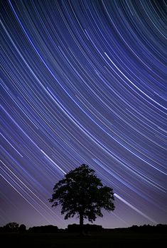 Star-trail with Boom