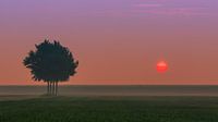Sonnenaufgang im Norden von Groningen, Niederlande von Henk Meijer Photography Miniaturansicht