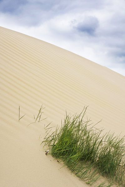 Dunes landscape by Martijn van Huffelen