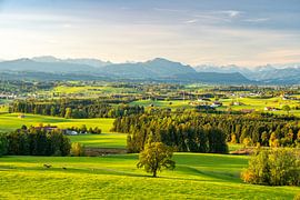 View over the Allgäu to the Allgäu Alps and the Grünten mountain range by Leo Schindzielorz