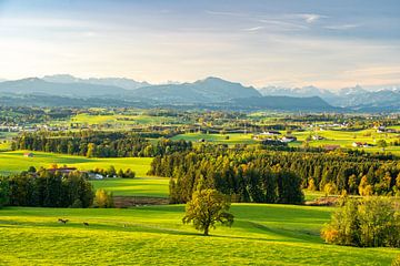 Uitzicht over de Allgäu naar de Allgäuer Alpen en het Grüntengebergte