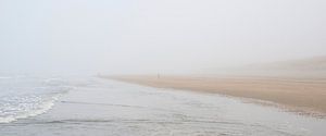 marcher sur la plage dans le brouillard