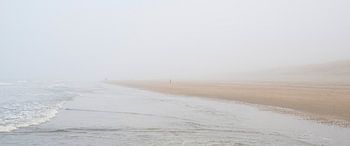 marcher sur la plage dans le brouillard