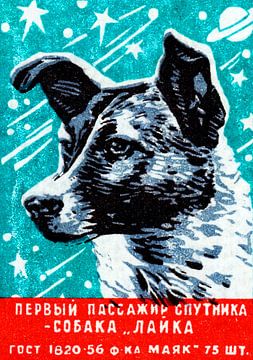 Laika der Weltraumhund