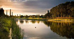 Sydney Park Sunset von nick van meurs