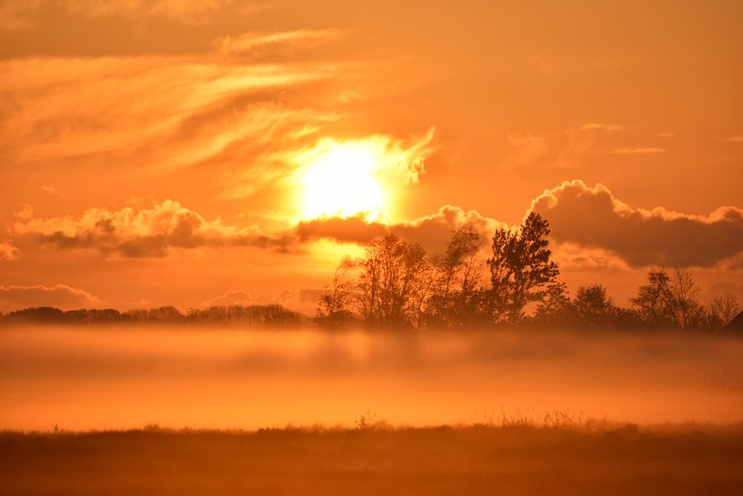 stille wereld van Johanna Varner