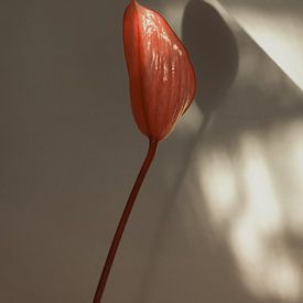 Signatur 05 von Floortje Louise