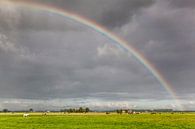 Regenboog over de weilanden van Dorkwerd  van Evert Jan Luchies thumbnail