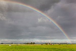 Regenbogen über den Wiesen von Dorkwerd