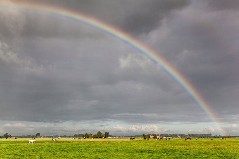 Regenbogen über den Wiesen von Dorkwerd von Evert Jan Luchies