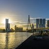 Rotterdam bij zonsopgang | Erasmusbrug van Ricardo Bouman