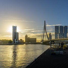 Rotterdam bij zonsopgang | Erasmusbrug van Ricardo Bouman