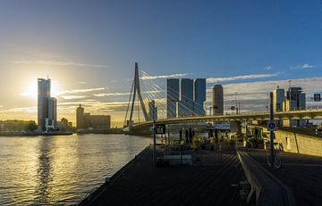 Rotterdam bij zonsopgang | Erasmusbrug van Ricardo Bouman