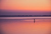 De stand up paddler in de zonsondergang