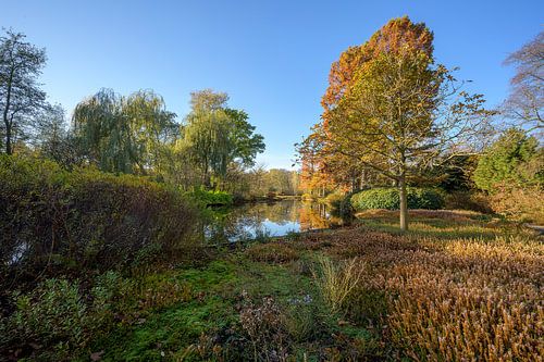 Herfst in Amstelveen