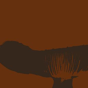 Spores in a fungus