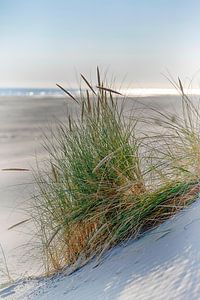 Ameland sur Uwe Merkel