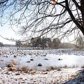 Winter... by Ans Bastiaanssen