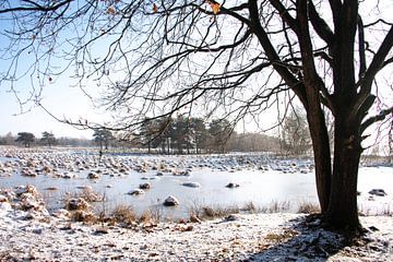 Winter... van Ans Bastiaanssen