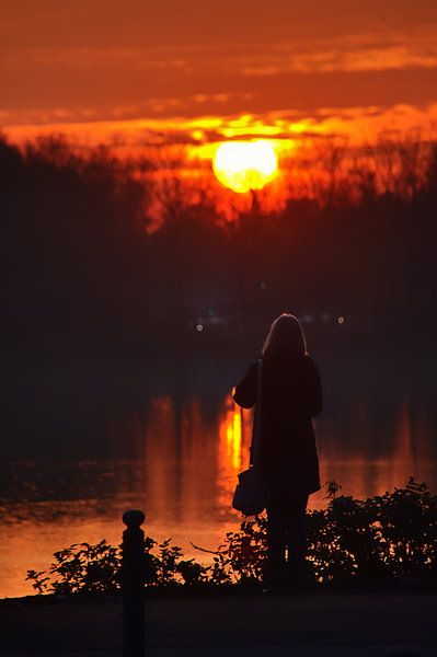 Adenaueralle 6 van Edgar Schermaul