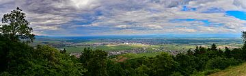 Colmar and the Rhine valley - panorama
