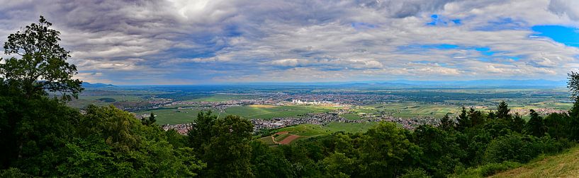 Colmar and the Rhine valley - panorama by Ingo Laue