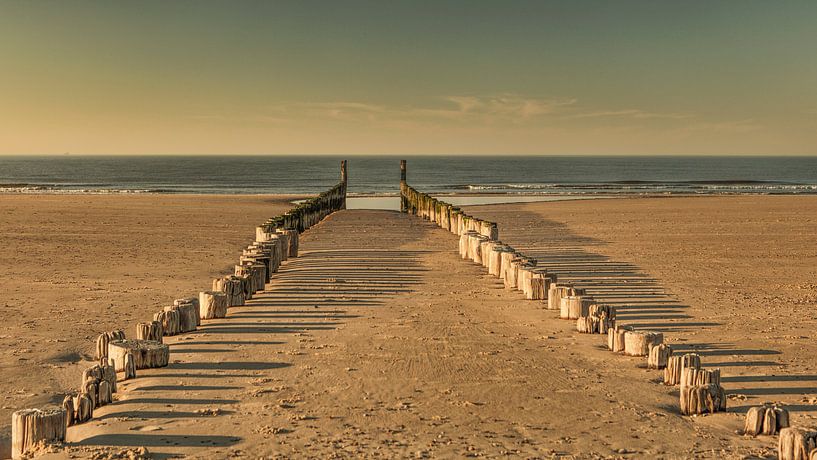 domburg beach by anne droogsma