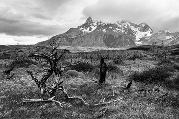 Wandelpad in Torres del Paine Nationaal Park met uitzicht op het Torres Paine massief van Shanti Hesse