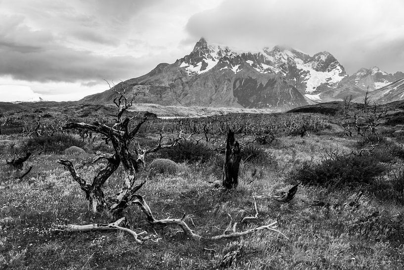 Wanderweg im Torres del Paine Nationalpark mit Ausblick auf das Torres Paine Massiv von Shanti Hesse