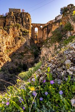 The bridge 'Puente Nuevo' and flowers by Dafne Vos