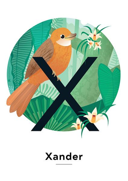 Naamposter Xander van Hannah Barrow