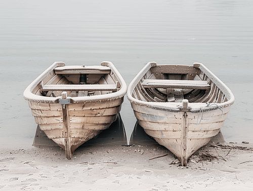 Join us on a floating adventure across the Adriatic Sea