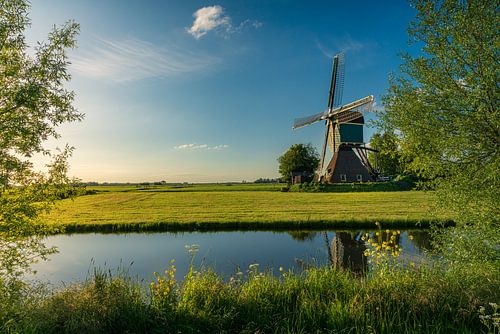 Polderlandschaft Windmühle im letzten Licht