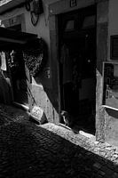 A cat sitting in a doorway | Lisbon