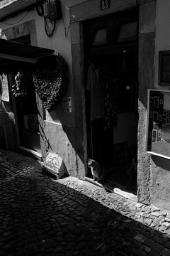 A cat sitting in a doorway | Lisbon by Goitzen van der Veen