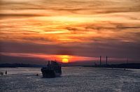 Ship in the sunset on the Elbe near Hamburg.