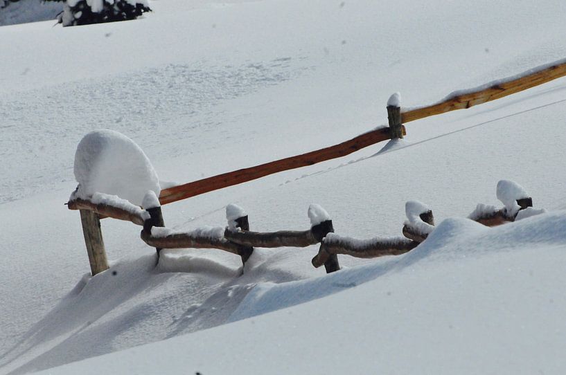 Eingezäunt. von The Snowroom