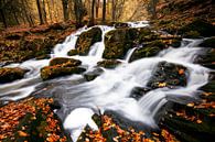 Selkefall von Alena Holtz Miniaturansicht