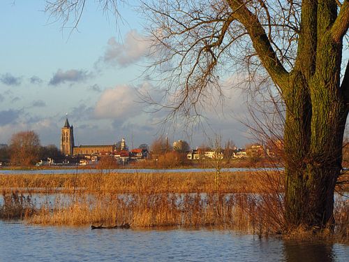Zicht op Gorinchem