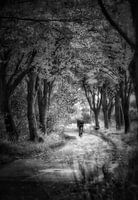 Coureur